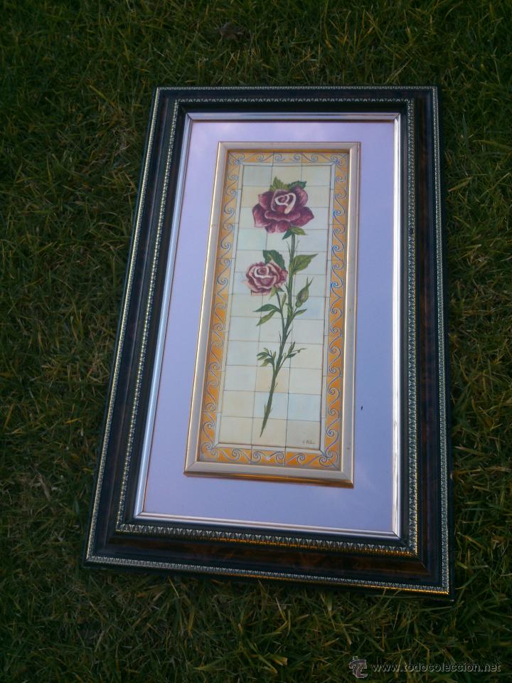 Segunda mano: PRECIOSA LAMINA PLASTIFICADA ENMARCADA.55X33CM. - Foto 1