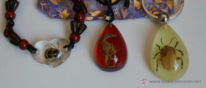 Segunda mano: pulsera llavero collar con insectos y de la marina - Foto 2