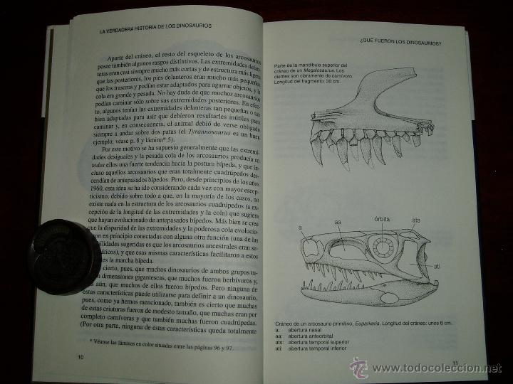 Segunda mano: La Verdadera Historia de los Dinosaurios - Foto 4