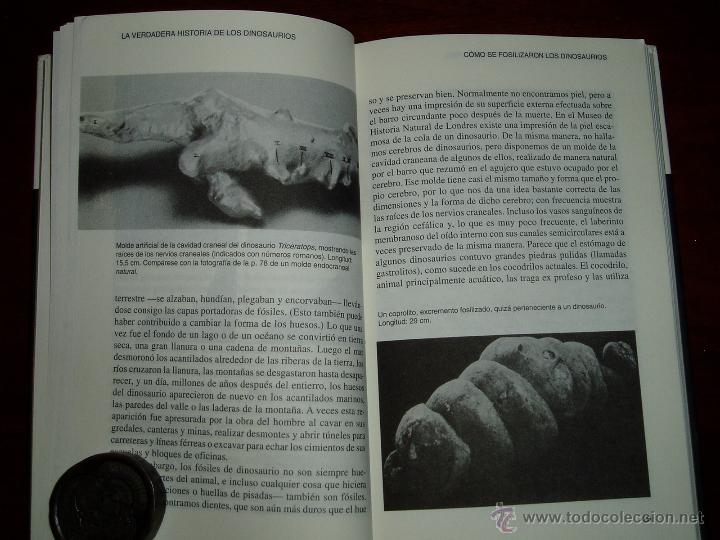 Segunda mano: La Verdadera Historia de los Dinosaurios - Foto 6