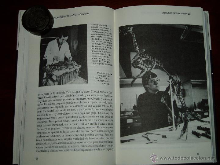 Segunda mano: La Verdadera Historia de los Dinosaurios - Foto 7