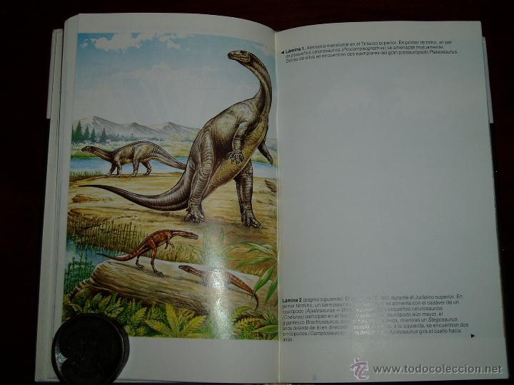 Segunda mano: La Verdadera Historia de los Dinosaurios - Foto 8