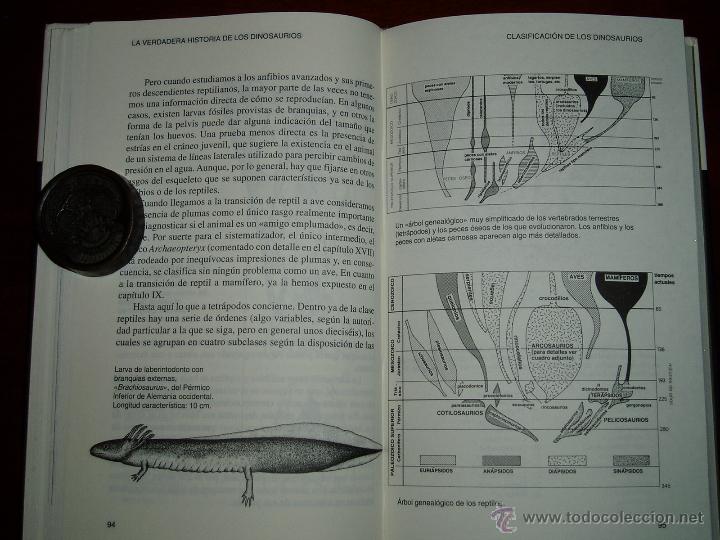 Segunda mano: La Verdadera Historia de los Dinosaurios - Foto 9