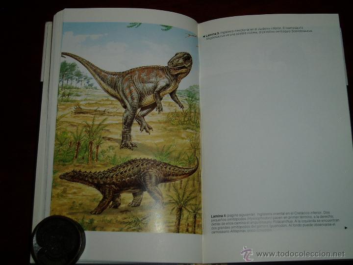 Segunda mano: La Verdadera Historia de los Dinosaurios - Foto 10