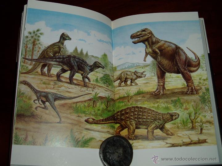 Segunda mano: La Verdadera Historia de los Dinosaurios - Foto 11