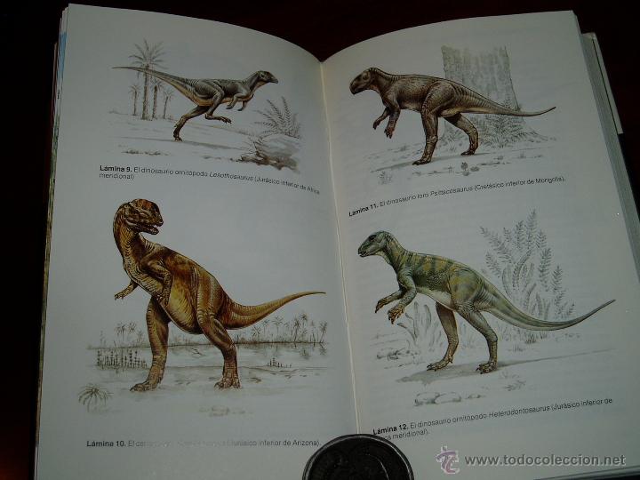 Segunda mano: La Verdadera Historia de los Dinosaurios - Foto 12