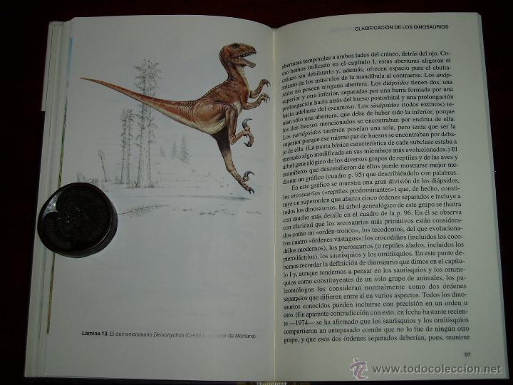 Segunda mano: La Verdadera Historia de los Dinosaurios - Foto 13