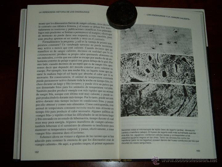 Segunda mano: La Verdadera Historia de los Dinosaurios - Foto 17