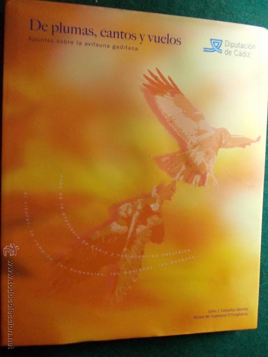 Segunda mano: Gu&iacute;a de plumas cantos y vuelos - Foto 1