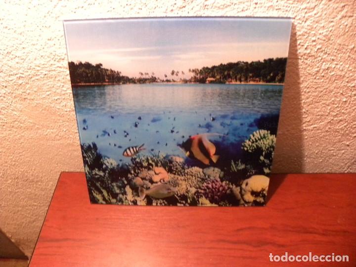 Segunda mano: CUADRO DE CRISTAL DE PECES - Foto 1