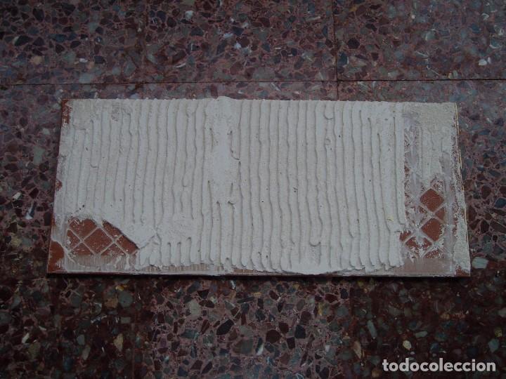 Segunda mano: Baldos&iacute;n Grande Delf&iacute;n 70 x 30 - Foto 2