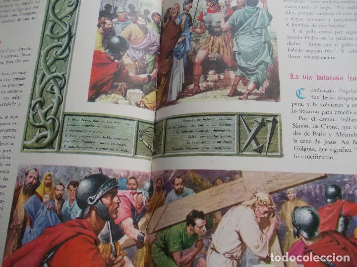 Segunda mano: Biblia Ilustrada - Foto 2