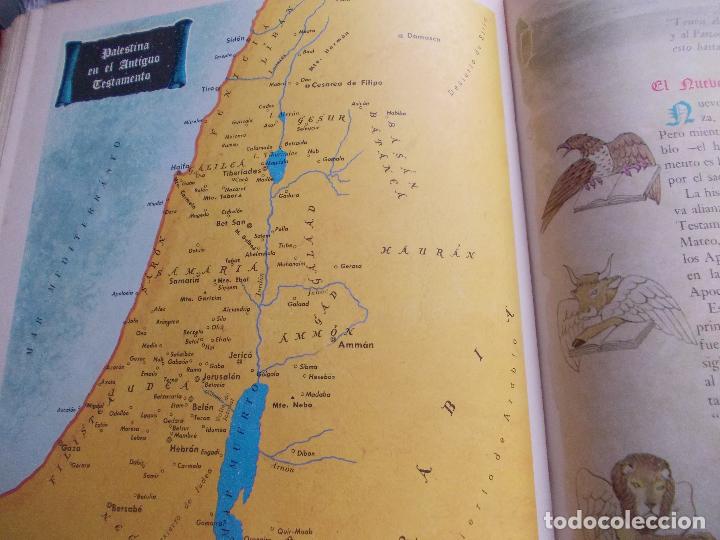 Segunda mano: Biblia Ilustrada - Foto 3