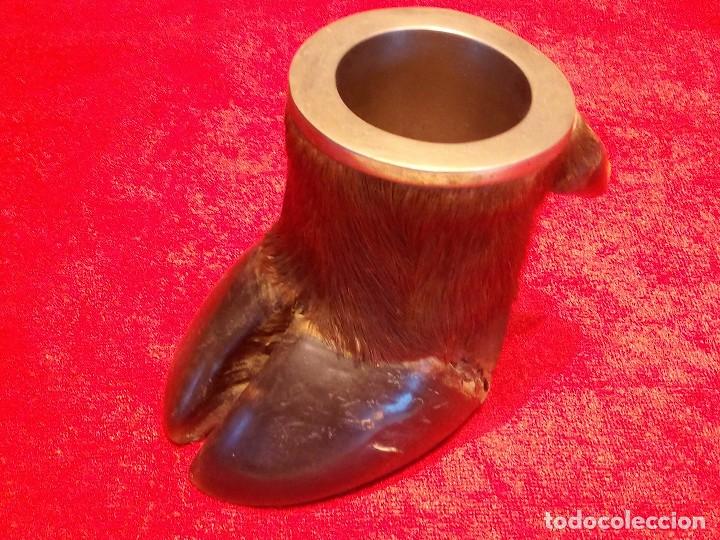 Segunda mano: Lapicero de pata de bisonte europeo. - Foto 1