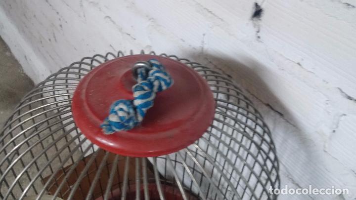 Segunda mano: Jaula de loro o cotorras, usada - Foto 5