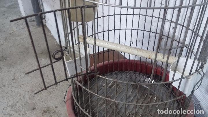 Segunda mano: Jaula de loro o cotorras, usada - Foto 7