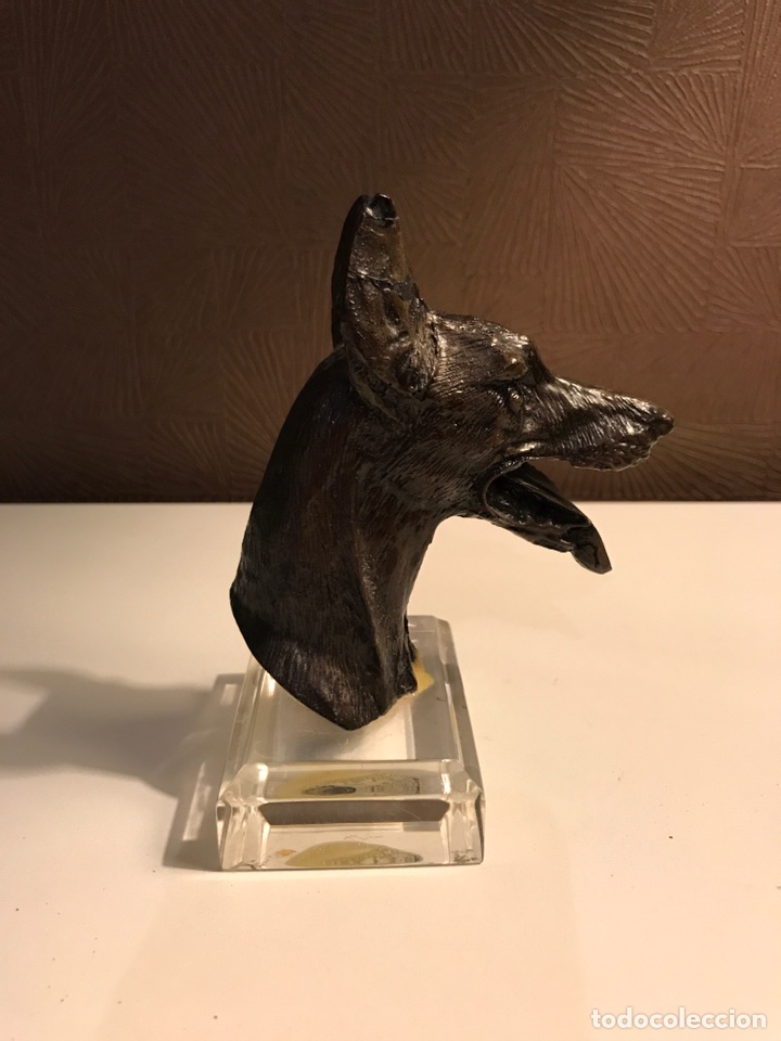 Segunda mano: Cabeza Pastor Aleman (Decoracion) - Foto 3