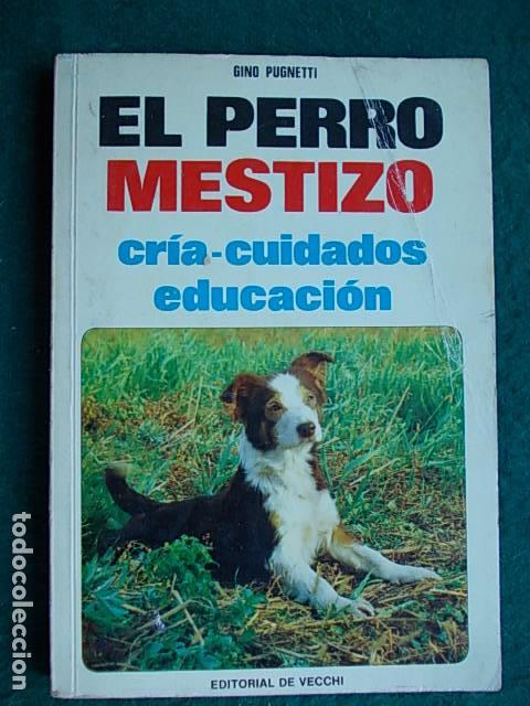 Segunda mano: El perro mestizo Cr&iacute;a -cuidados-educaci&oacute;n - Foto 1