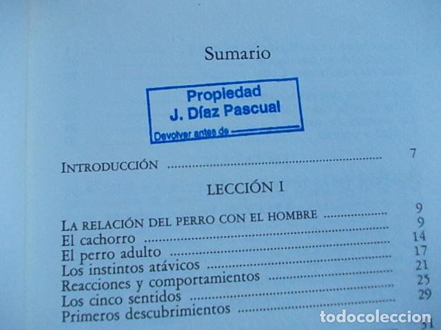 Segunda mano: El perro mestizo Cr&iacute;a -cuidados-educaci&oacute;n - Foto 2