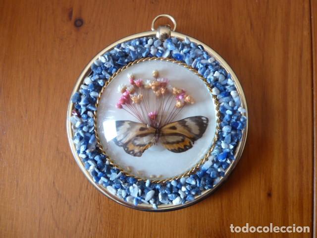 Segunda mano: Cuadro decorativo Mariposa - Foto 1