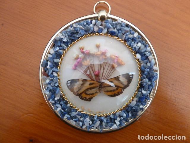 Segunda mano: Cuadro decorativo Mariposa - Foto 3
