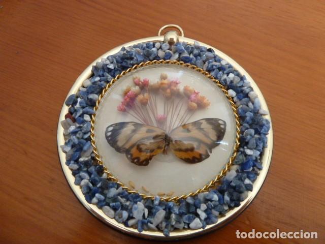Segunda mano: Cuadro decorativo Mariposa - Foto 4