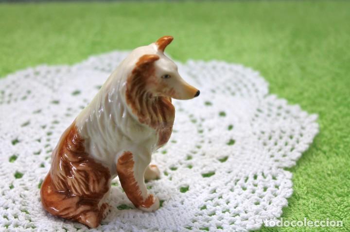 Segunda mano: PERRO DE RESINA-PLASTICO-VINTAGE - Foto 2