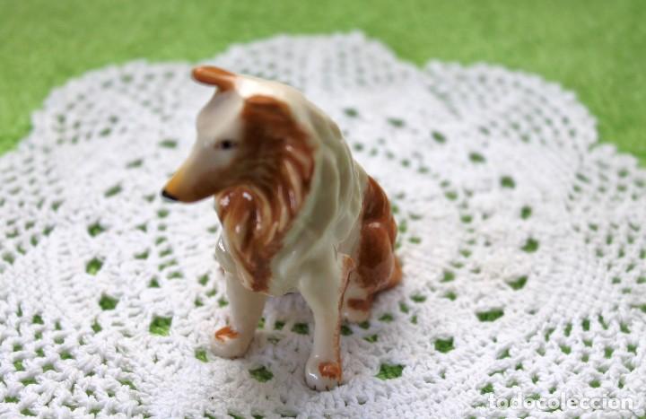 Segunda mano: PERRO DE RESINA-PLASTICO-VINTAGE - Foto 3