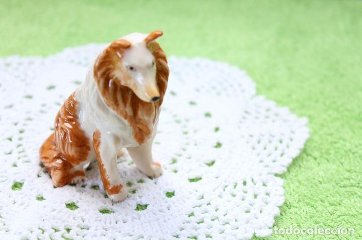 Segunda mano: PERRO DE RESINA-PLASTICO-VINTAGE - Foto 5