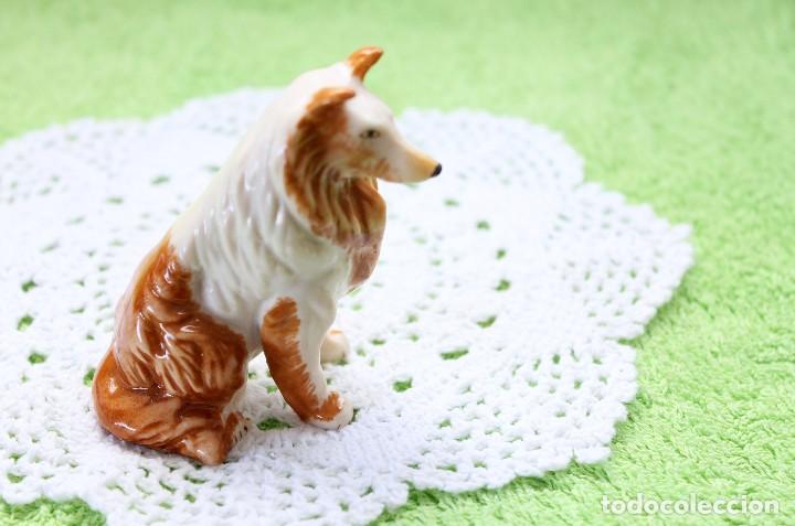 Segunda mano: PERRO DE RESINA-PLASTICO-VINTAGE - Foto 6