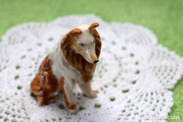 Segunda mano: PERRO DE RESINA-PLASTICO-VINTAGE - Foto 8