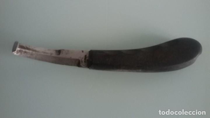 Segunda mano: Legra para desbastar cascos de caballo, con mango de plastico - Foto 2