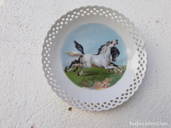 Segunda mano: plato de porcelana caballo - Foto 1