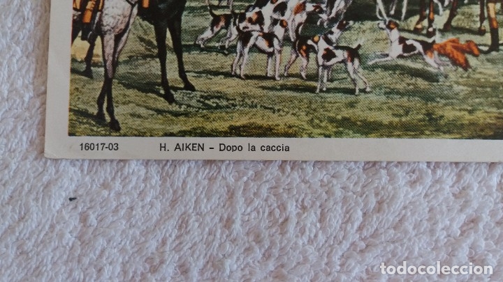 Segunda mano: Lamina de caza del zorro - Foto 2