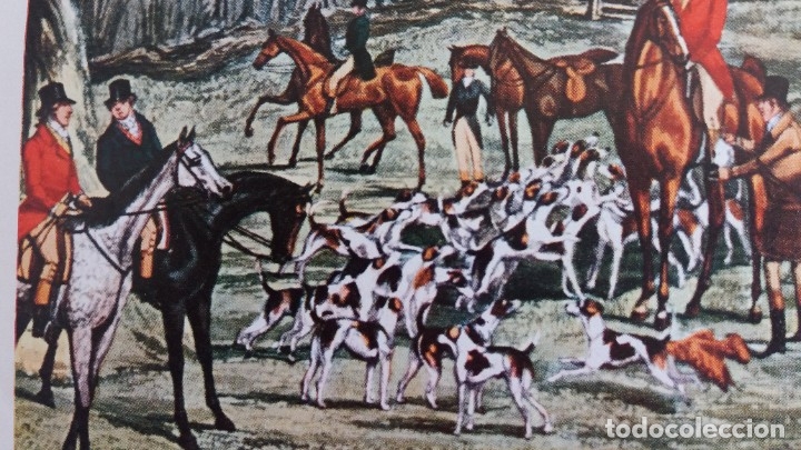 Segunda mano: Lamina de caza del zorro - Foto 3