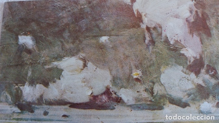 Segunda mano: Lamina de playa - Foto 4