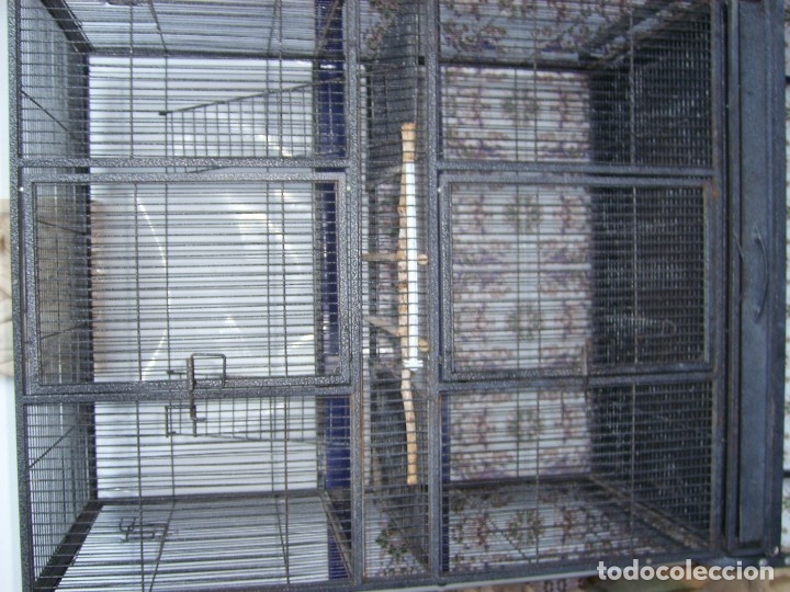 Segunda mano: Jaula Loro - Foto 2