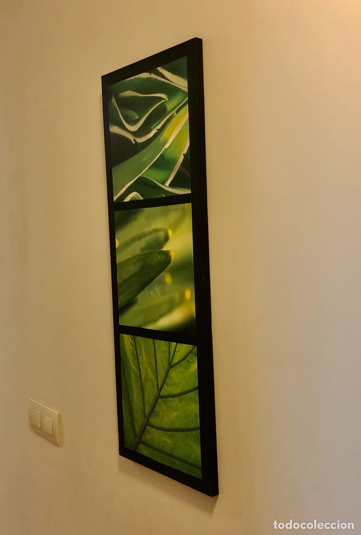 Segunda mano: 2 CUADROS CON MOTIVOS VEGETALES - Foto 4