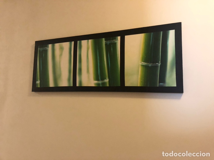 Segunda mano: 2 CUADROS CON MOTIVOS VEGETALES - Foto 1