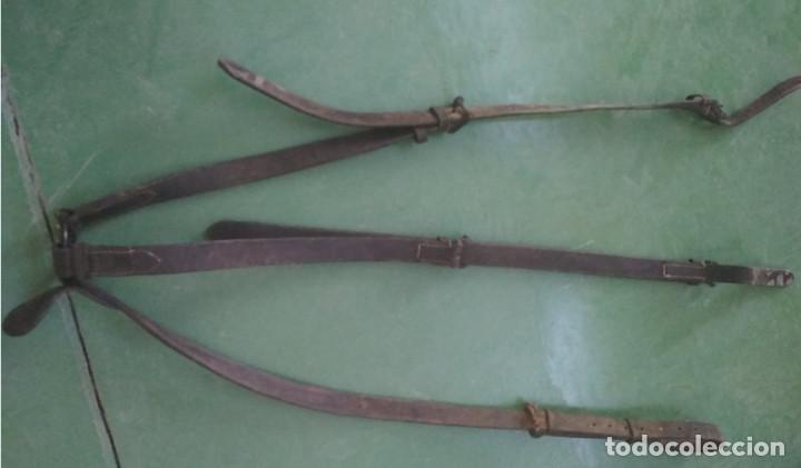 Segunda mano: CORREAJE DE 3 CINCHAS DE CUERO, PARA CABALLOS ETC. - Foto 1