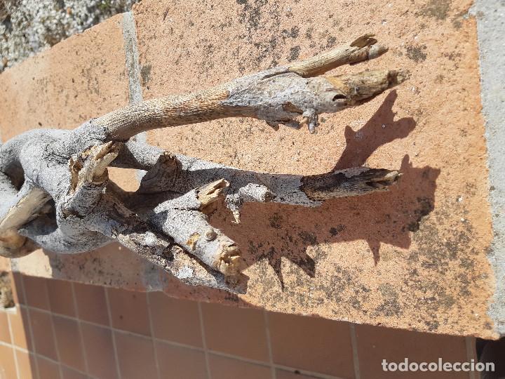 Segunda mano: pieza unica e interesante - Foto 4