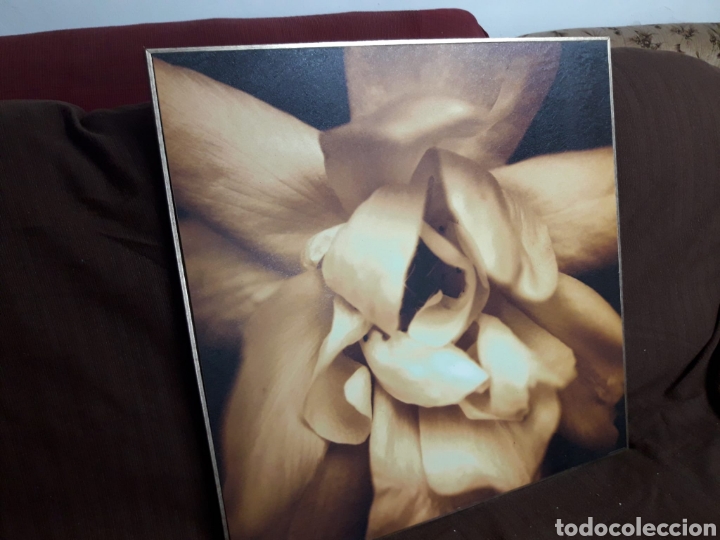 Segunda mano: Cuadro flor - Foto 1