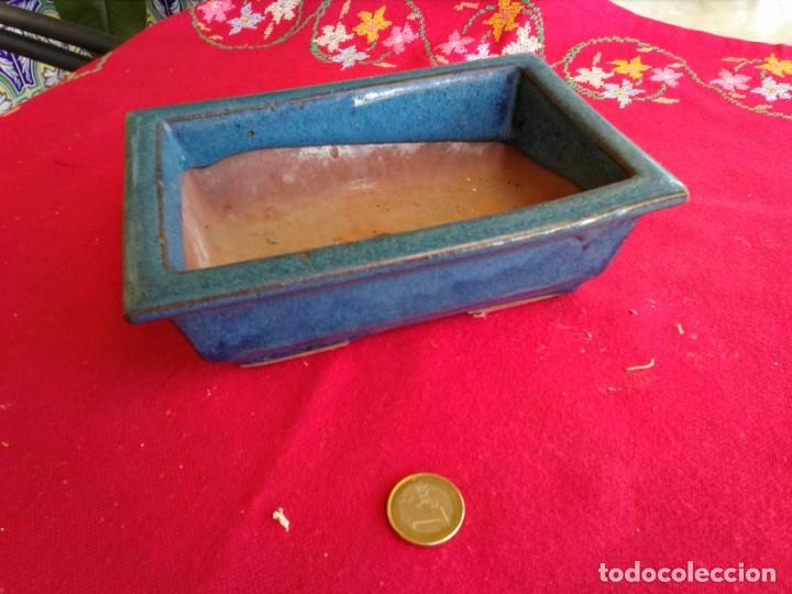 Segunda mano: Lote de Macetas o tiestos para bonsais - Foto 4
