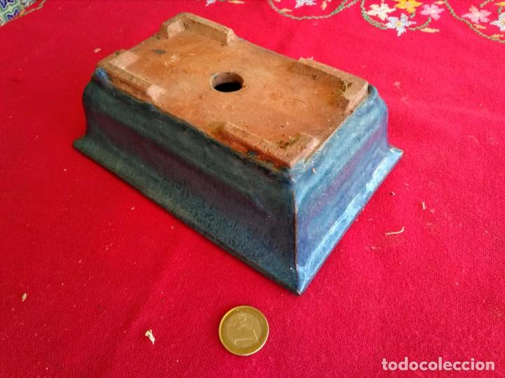 Segunda mano: Lote de Macetas o tiestos para bonsais - Foto 5