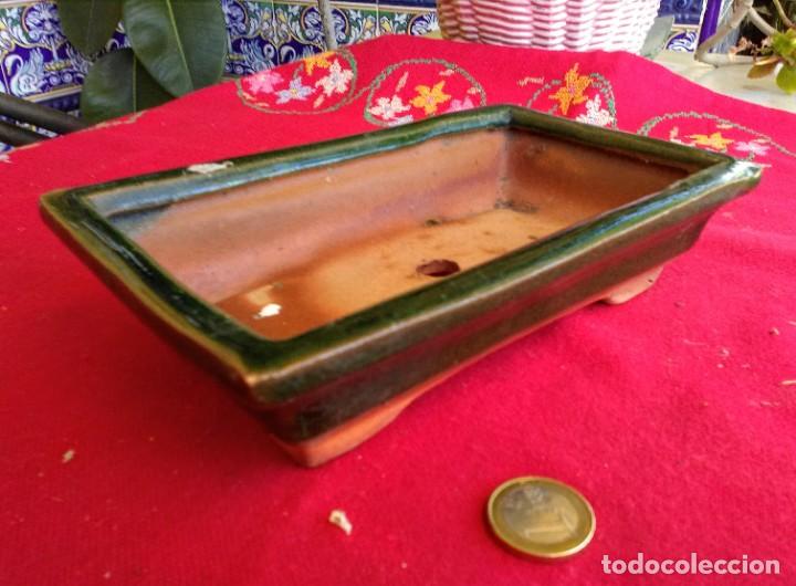 Segunda mano: Lote de Macetas o tiestos para bonsais - Foto 6