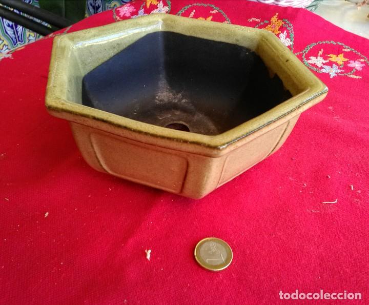 Segunda mano: Lote de Macetas o tiestos para bonsais - Foto 8