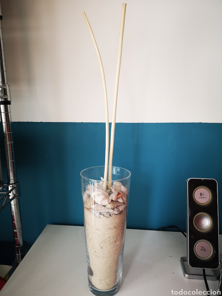 Segunda M&atilde;o: Jarron con conchas y caracolas para decorar Mira mi perfil hay cosas&nbsp;chulas que te pueden interesar