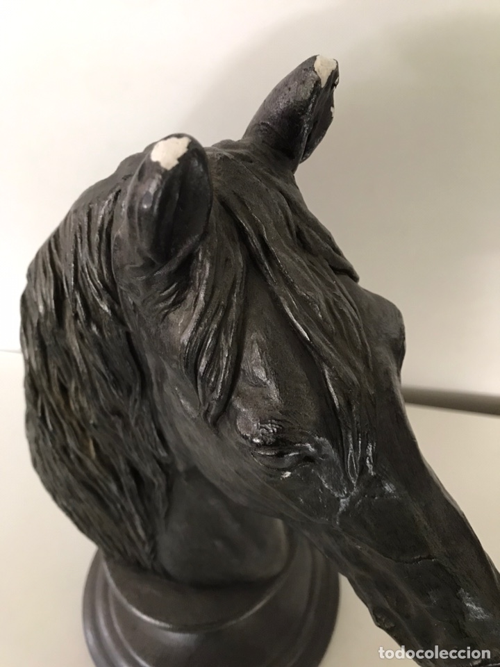 Segunda mano: BUSTO DE CABALLO ESCAYOLA - Foto 2