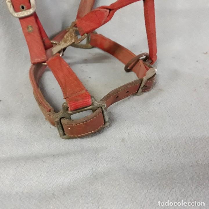 Segunda mano: Cabezada para caballo de nylon y cuero. - Foto 2