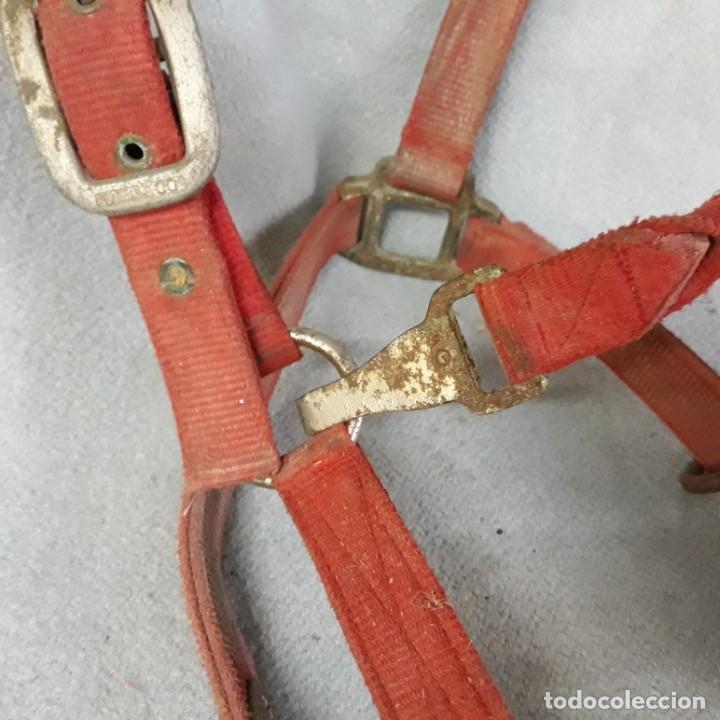 Segunda mano: Cabezada para caballo de nylon y cuero. - Foto 3